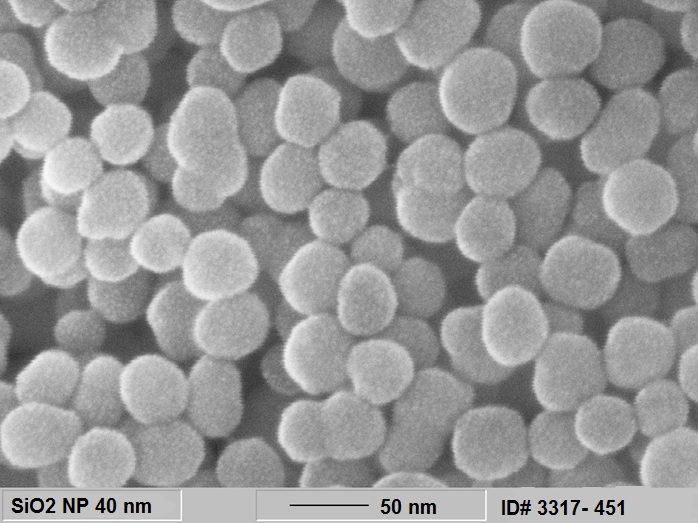 40 nm silica nanoparticles (SEM image)